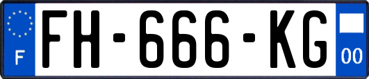 FH-666-KG
