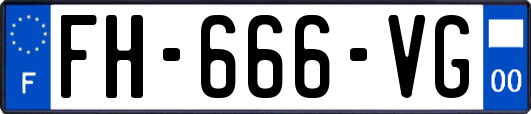 FH-666-VG