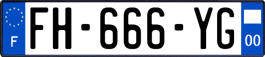 FH-666-YG