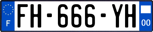 FH-666-YH