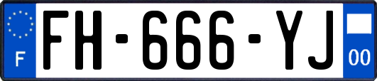 FH-666-YJ