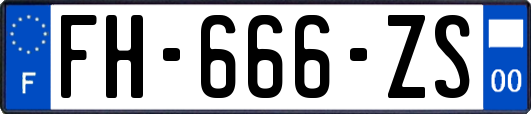 FH-666-ZS