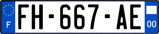 FH-667-AE