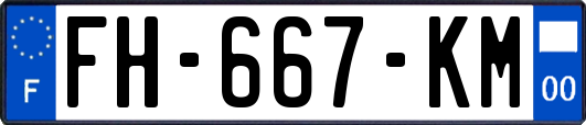 FH-667-KM