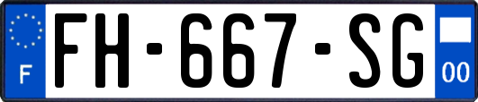 FH-667-SG