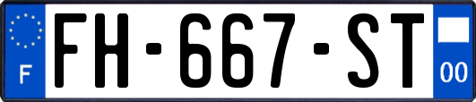 FH-667-ST