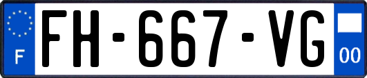 FH-667-VG
