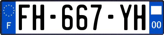 FH-667-YH