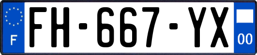 FH-667-YX