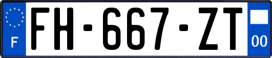 FH-667-ZT