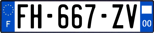 FH-667-ZV