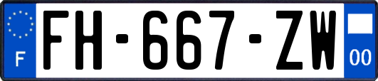 FH-667-ZW