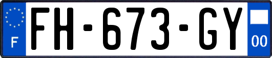 FH-673-GY