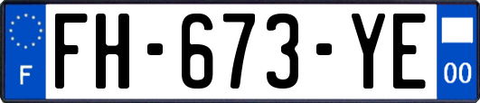 FH-673-YE