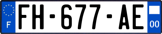 FH-677-AE