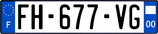 FH-677-VG
