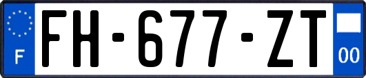 FH-677-ZT