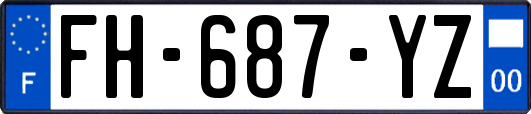 FH-687-YZ