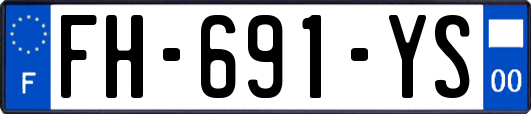FH-691-YS