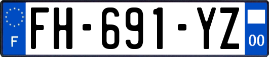 FH-691-YZ