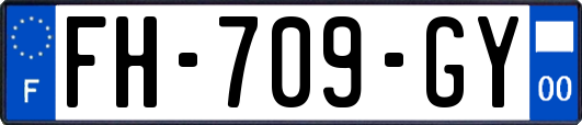 FH-709-GY