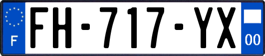 FH-717-YX
