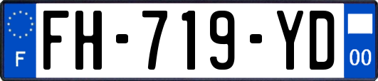 FH-719-YD