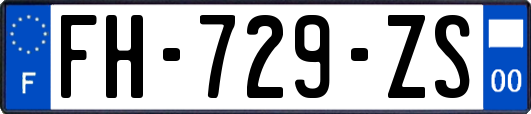 FH-729-ZS