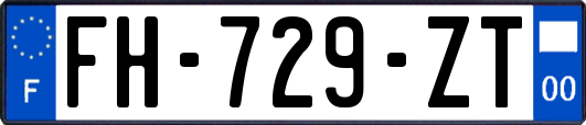 FH-729-ZT