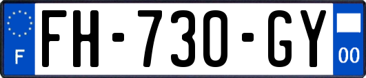 FH-730-GY