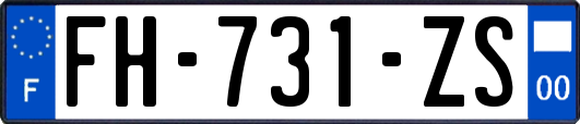 FH-731-ZS