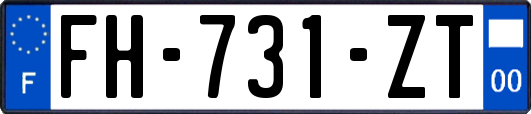 FH-731-ZT