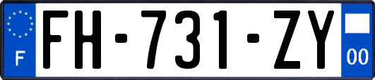 FH-731-ZY