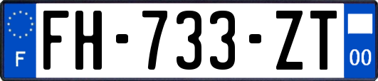 FH-733-ZT