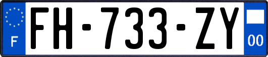 FH-733-ZY