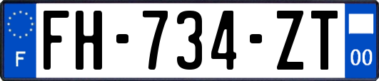 FH-734-ZT