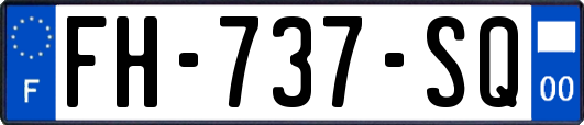 FH-737-SQ