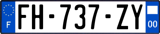 FH-737-ZY