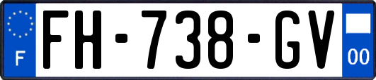 FH-738-GV