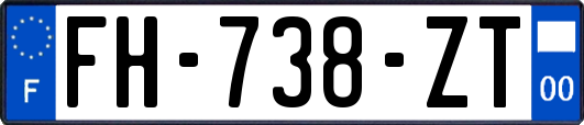 FH-738-ZT