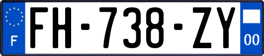 FH-738-ZY