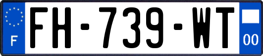 FH-739-WT
