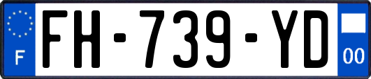 FH-739-YD