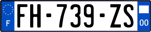 FH-739-ZS