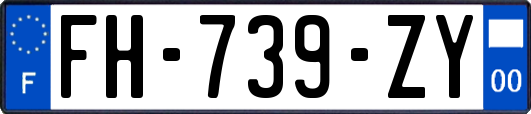 FH-739-ZY