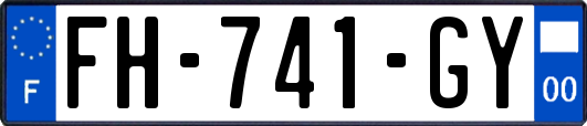FH-741-GY