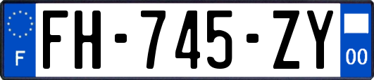 FH-745-ZY