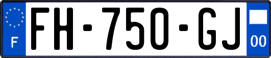 FH-750-GJ
