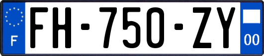 FH-750-ZY