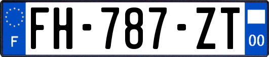 FH-787-ZT